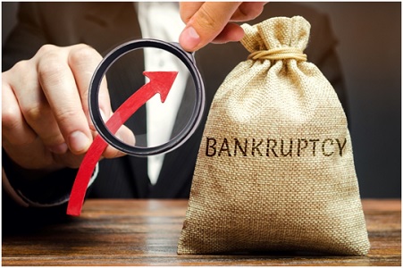 Tax Professionals and Consultants